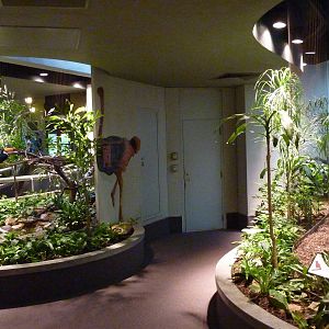 Bird House - Built In 1930