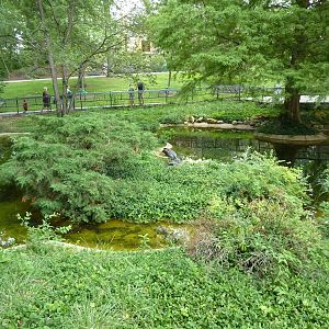 Waterfowl/Alligator Snapping Turtle Exhibit