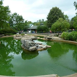 California Sea Lion Exhibit