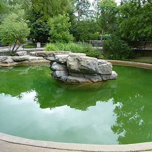 California Sea Lion Exhibit