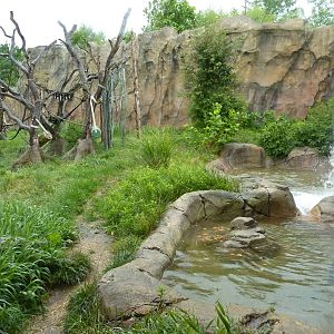 Chimpanzee Exhibit