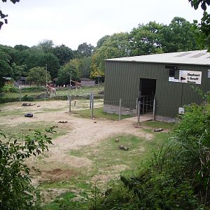 Elephant and Giraffe House - 27.07.2010