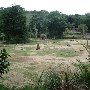 Elephant and Giraffe Enclosures - 27.07.2010