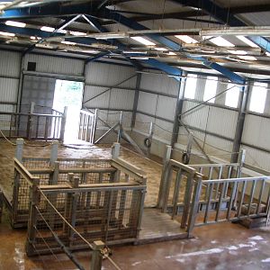 Inside Elephant House - 27.07.2010