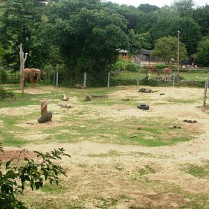 Elephant and Giraffe Enclosures - 27.07.2010