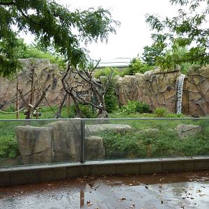 Chimpanzee Exhibit