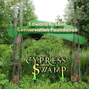 Cypress Swamp - 1904 Flight Cage - Signage