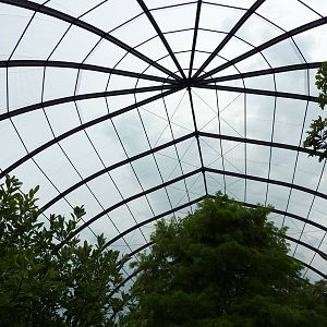 Cypress Swamp - 1904 Flight Cage