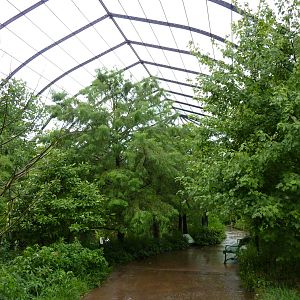 Cypress Swamp - 1904 Flight Cage