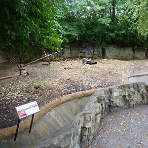 Prairie Dog Exhibit