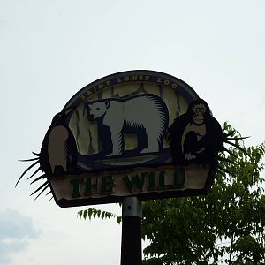The Wild - Sign