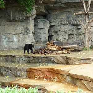 Bear Pits - Built In 1921 - Sun Bear Exhibit