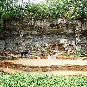 Bear Pits - Built In 1921 - Sun Bear Exhibit