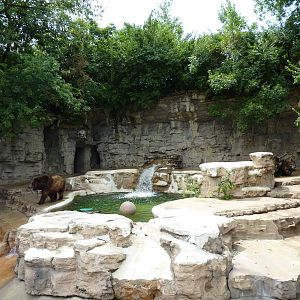 Bear Pits - Built In 1921 - Grizzly Bear Exhibit
