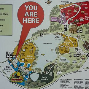 Zoo Map