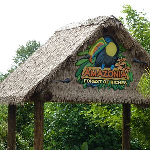 Amazonia: Forest Of Riches - Information Hut