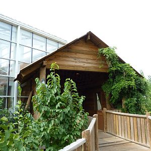 Amazonia: Forest Of Riches - Entrance