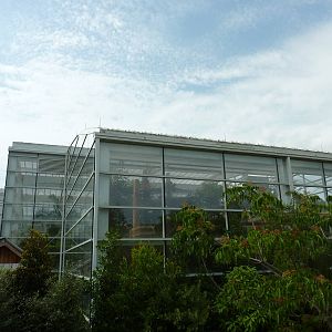 Amazonia: Forest Of Riches