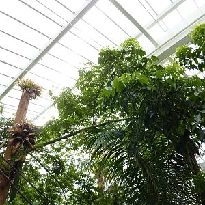 Amazonia: Forest Of Riches