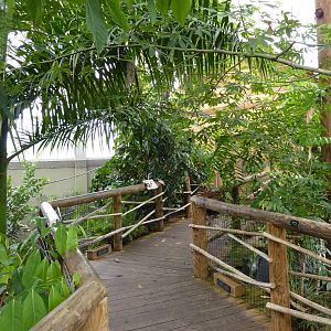 Amazonia: Forest Of Riches