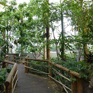 Amazonia: Forest Of Riches