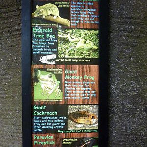 Amazonia: Forest Of Riches - Signage