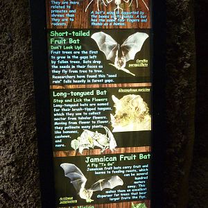 Amazonia: Forest Of Riches - Signage