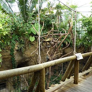 Amazonia: Forest Of Riches - Two-Toed Sloth/Coendou Exhibit