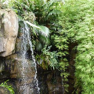 Amazonia: Forest Of Riches