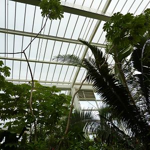 Amazonia: Forest Of Riches