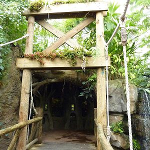 Amazonia: Forest Of Riches