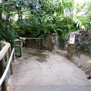 Amazonia: Forest Of Riches