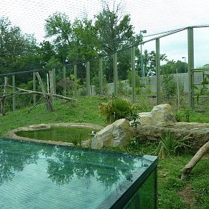 Amazonia: Forest Of Riches - Jaguar Exhibit