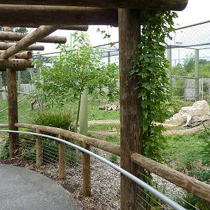 Amazonia: Forest Of Riches - Jaguar Exhibit