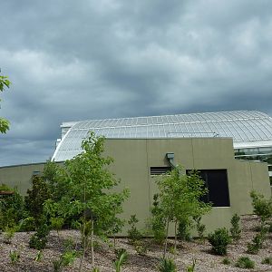 Amazonia: Forest Of Riches