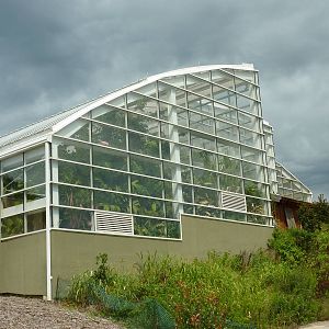 Amazonia: Forest Of Riches