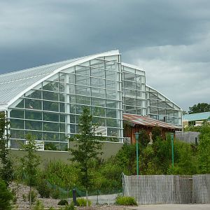 Amazonia: Forest Of Riches