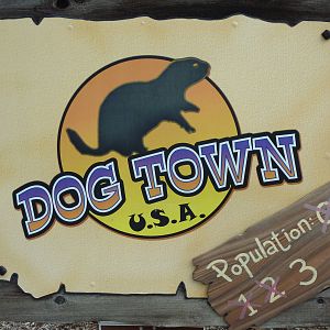 North America - Prairie Dog Exhibit