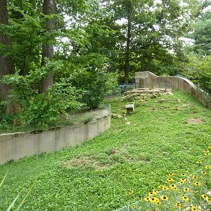 North America - Prairie Dog Exhibit
