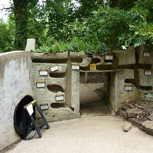 North America - Prairie Dog Exhibit