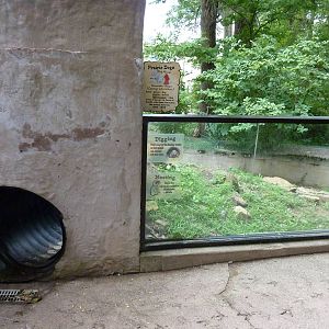 North America - Prairie Dog Exhibit