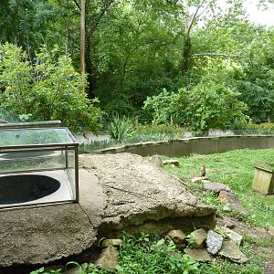 North America - Prairie Dog Exhibit