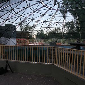 orangutan construction Aug 31, 2010