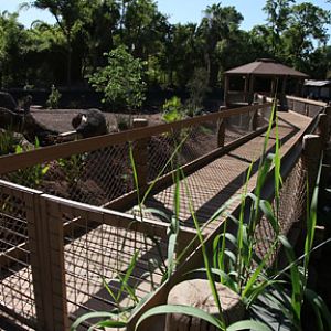 renovated exhibit opens in one week