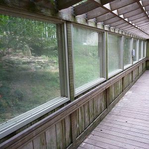 North America - Gray Wolf Exhibit