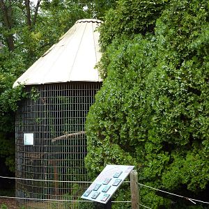 North America - Raptor Cage