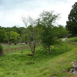 Africa - Walk-Through Sitatunga/White Stork Exhibit