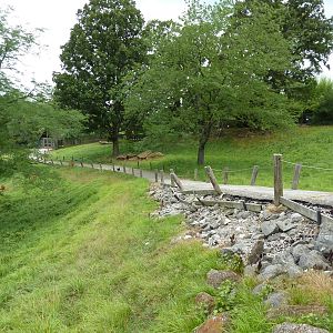 Africa - Walk-Through Sitatunga/White Stork Exhibit