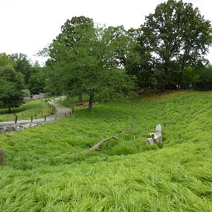 Africa - Walk-Through Sitatunga/White Stork Exhibit
