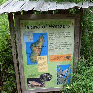 Lemur Forest Signage